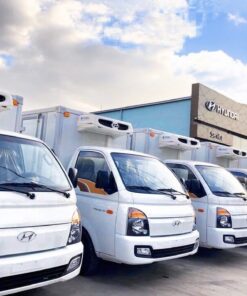 Giá Xe Tải Hyundai H150 - Thùng Đông Lạnh Doosung